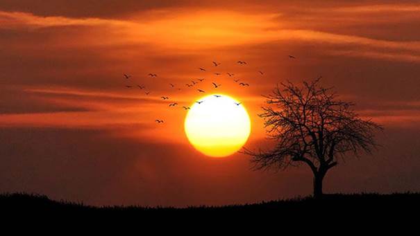 Siirt’te Temmuz Ayında Hava Nasıl Olacak? 15 Günlük ve 30 Günlük Hava Durumu Beklentileri